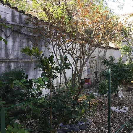 Holiday home Maisonette Bedogao *