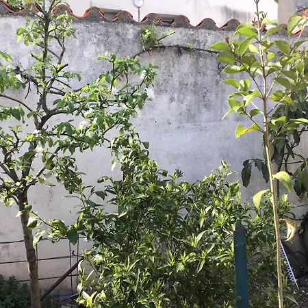 Holiday home Maisonette Bedogao *