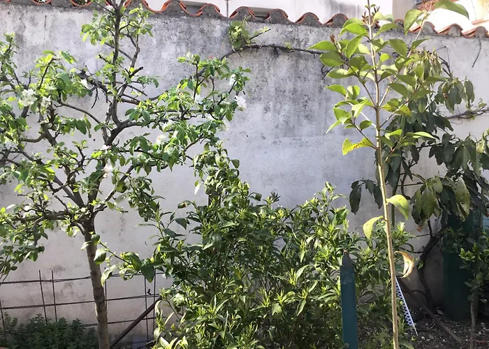 Vakantiehuis Maisonette Bedogao *